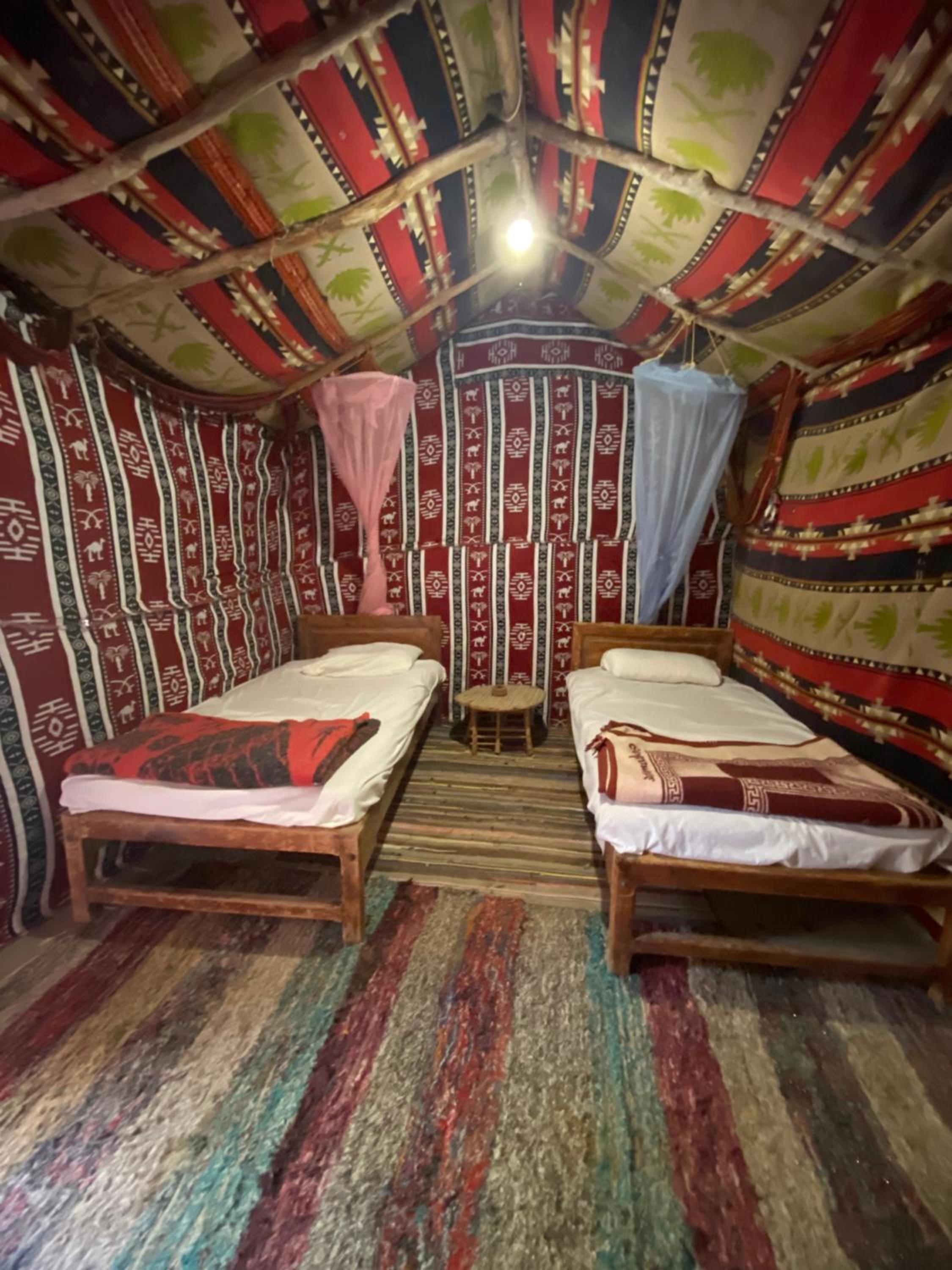 Forest Camp Siwa - كامب الغابة