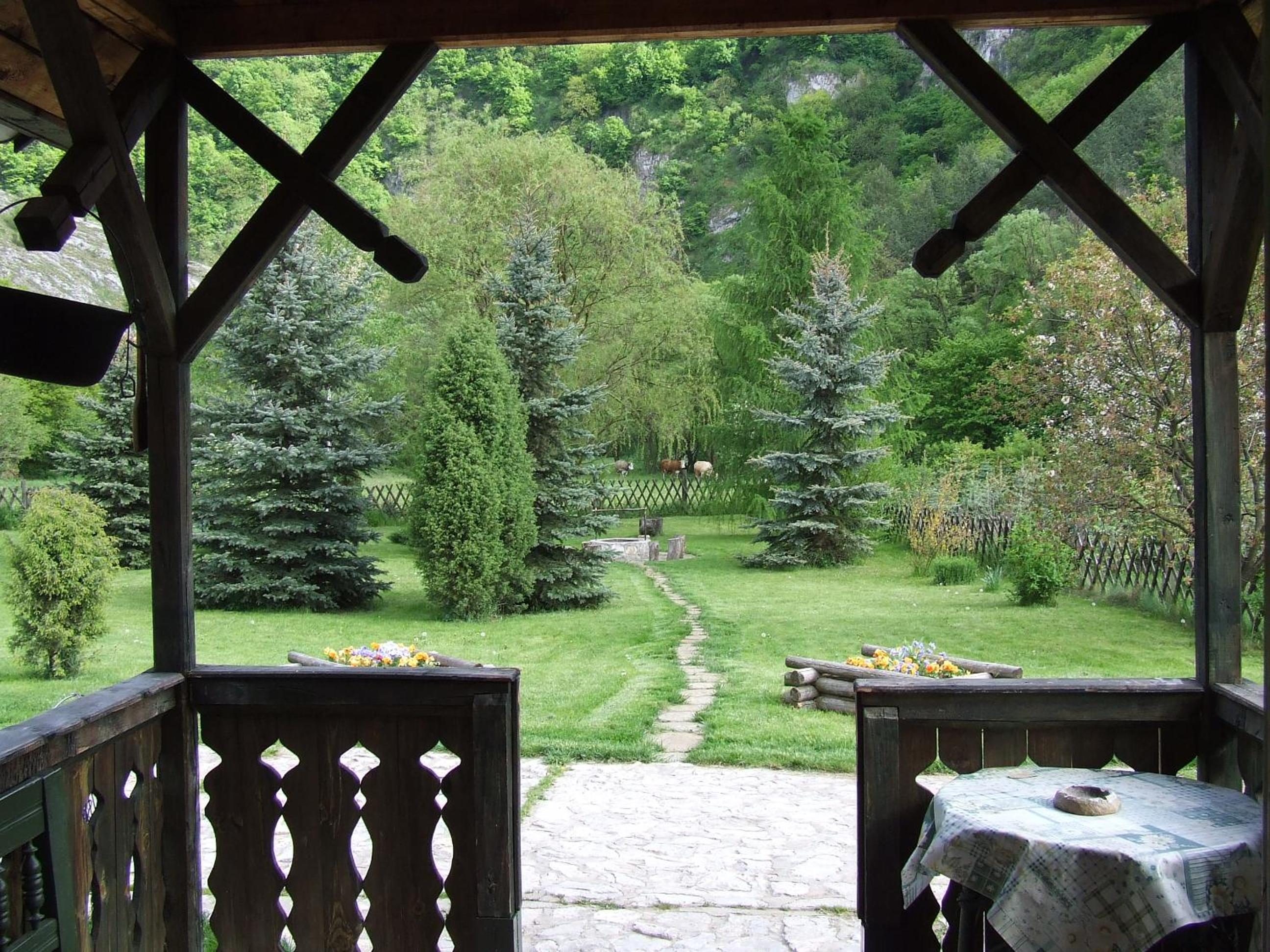 Photo 27