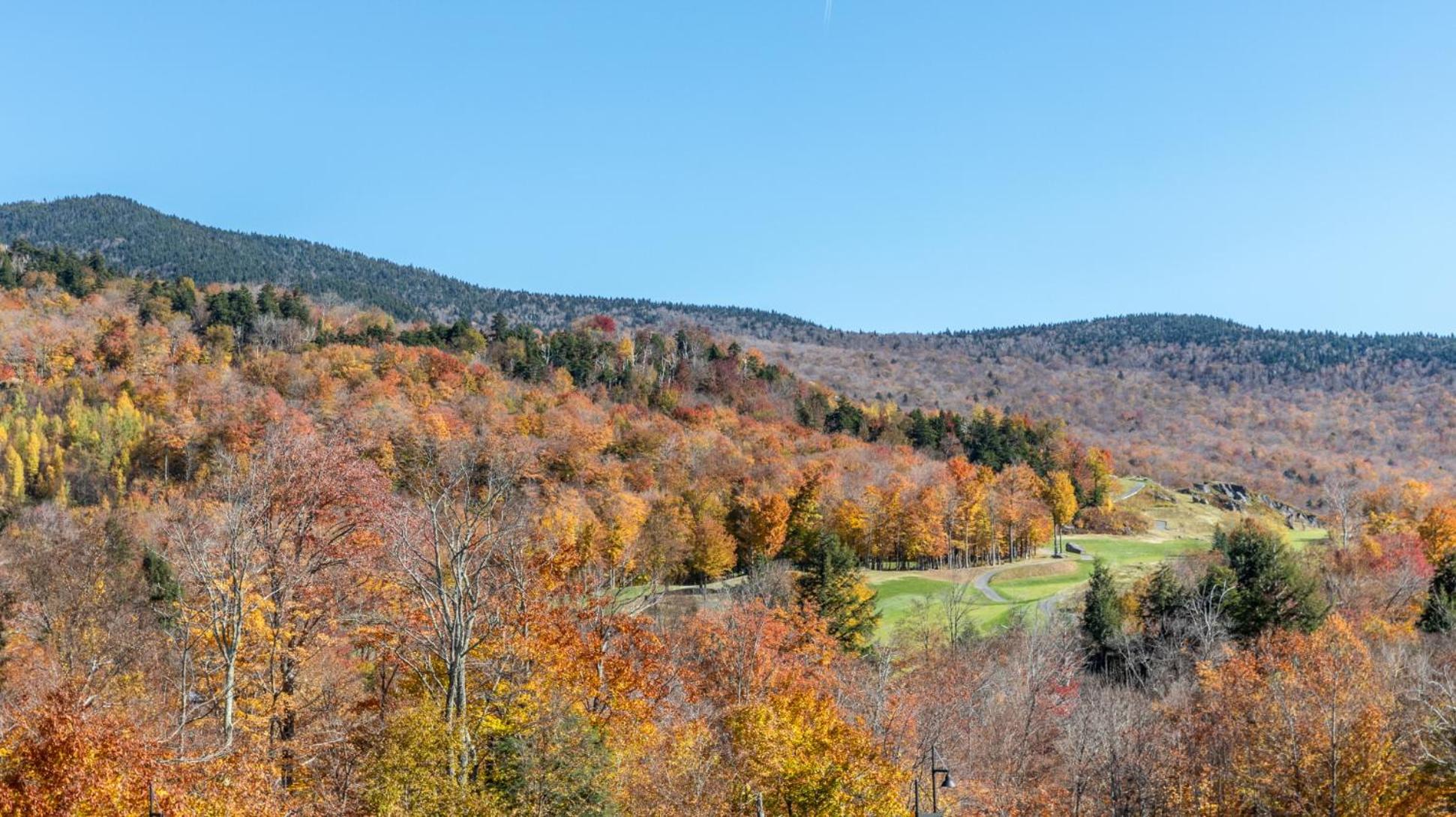 309 2bed Treehouse Unit - Lodge at Spruce Peak - Ski in Ski Out - Sleeps 5 view 2
