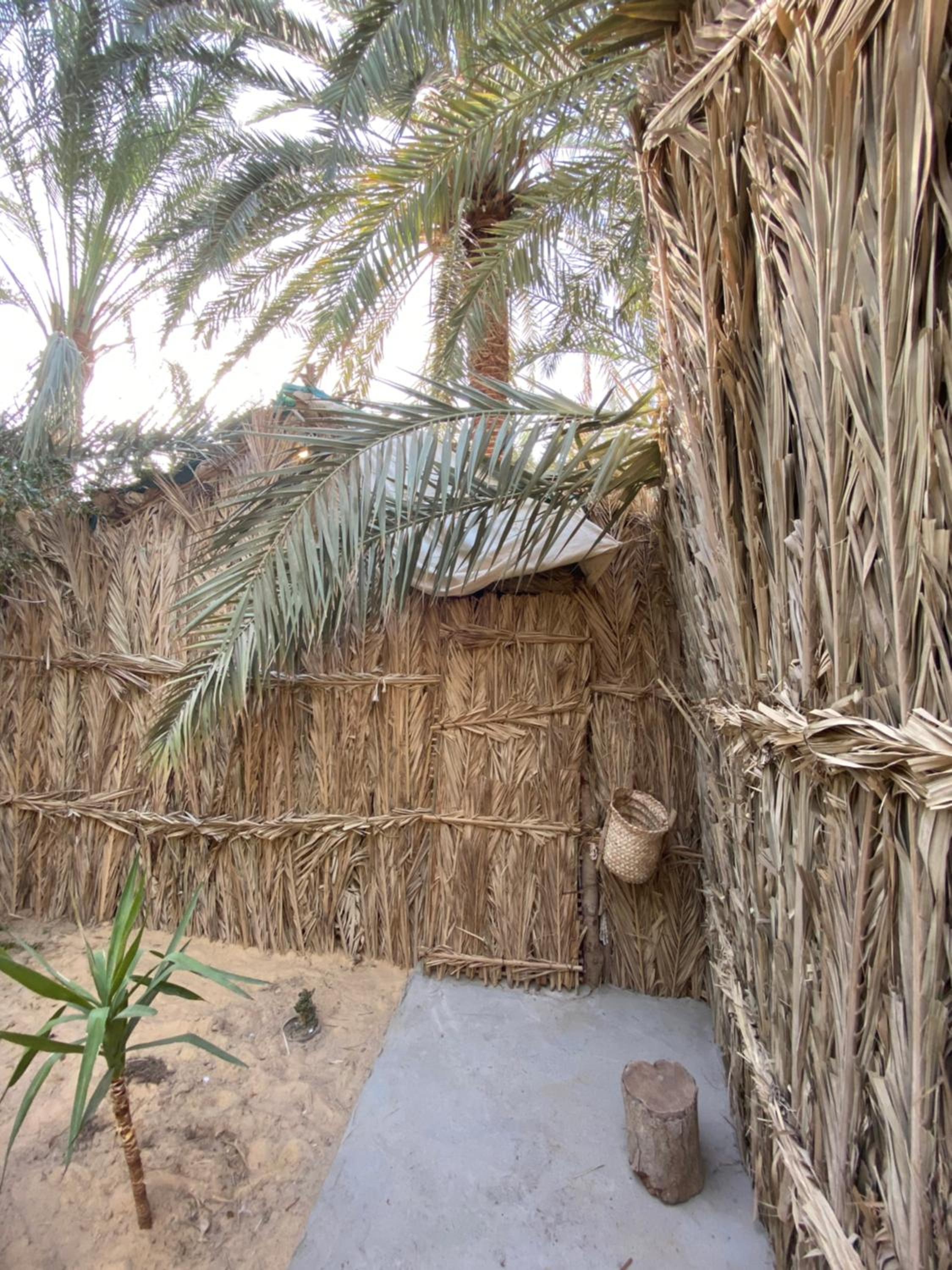 Forest Camp Siwa - كامب الغابة