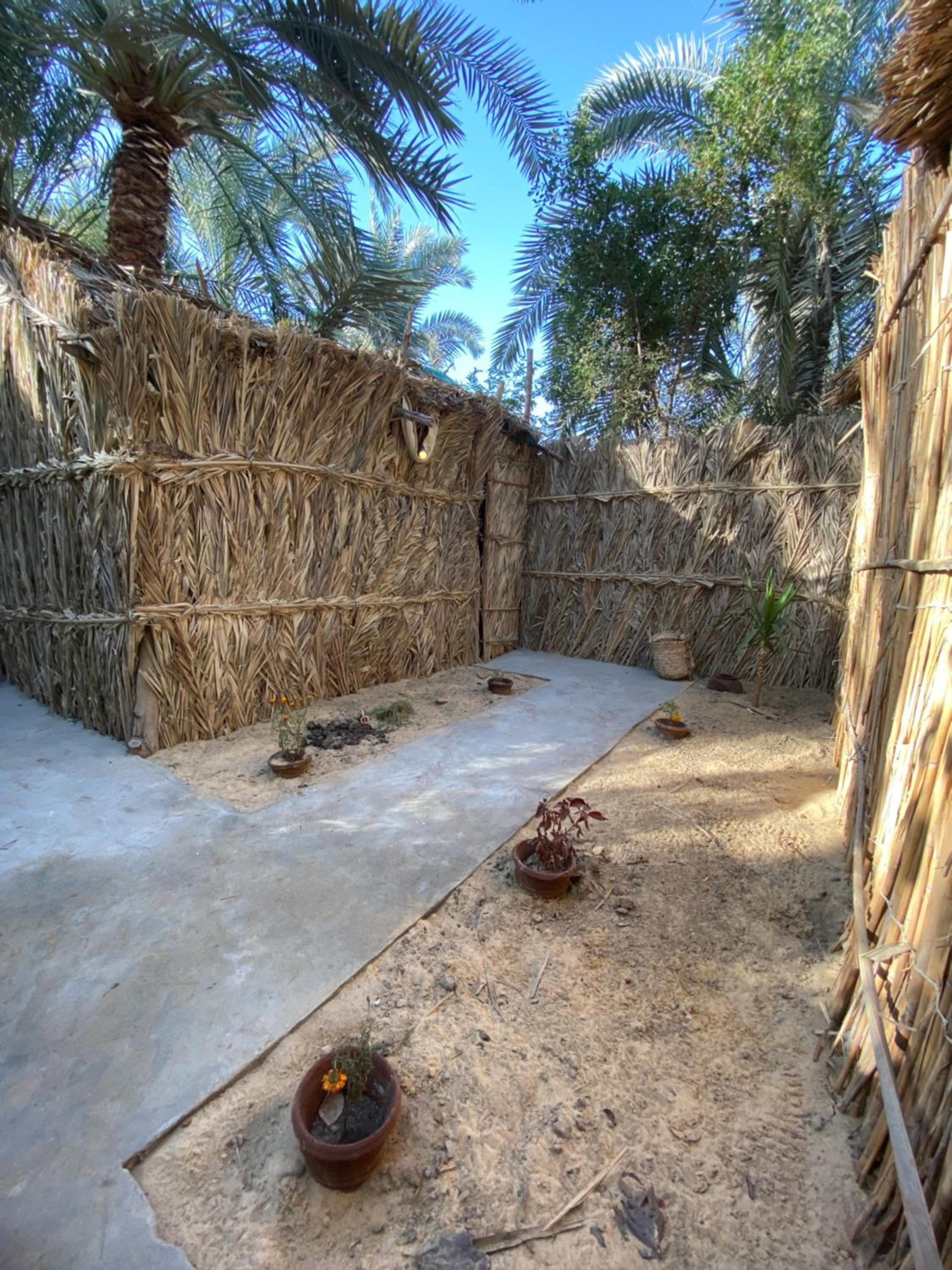 Forest Camp Siwa - كامب الغابة