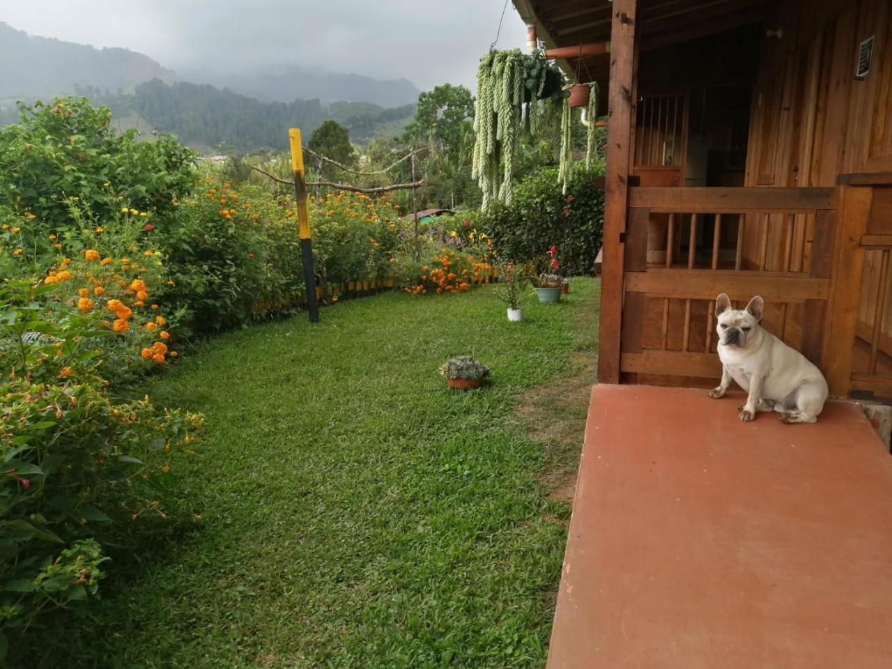 Cabañas Lucerito Turpial