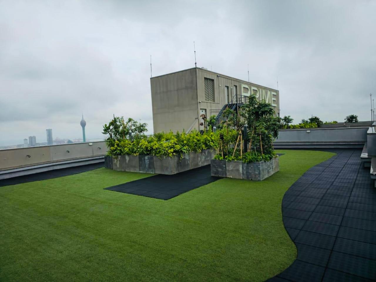 roof