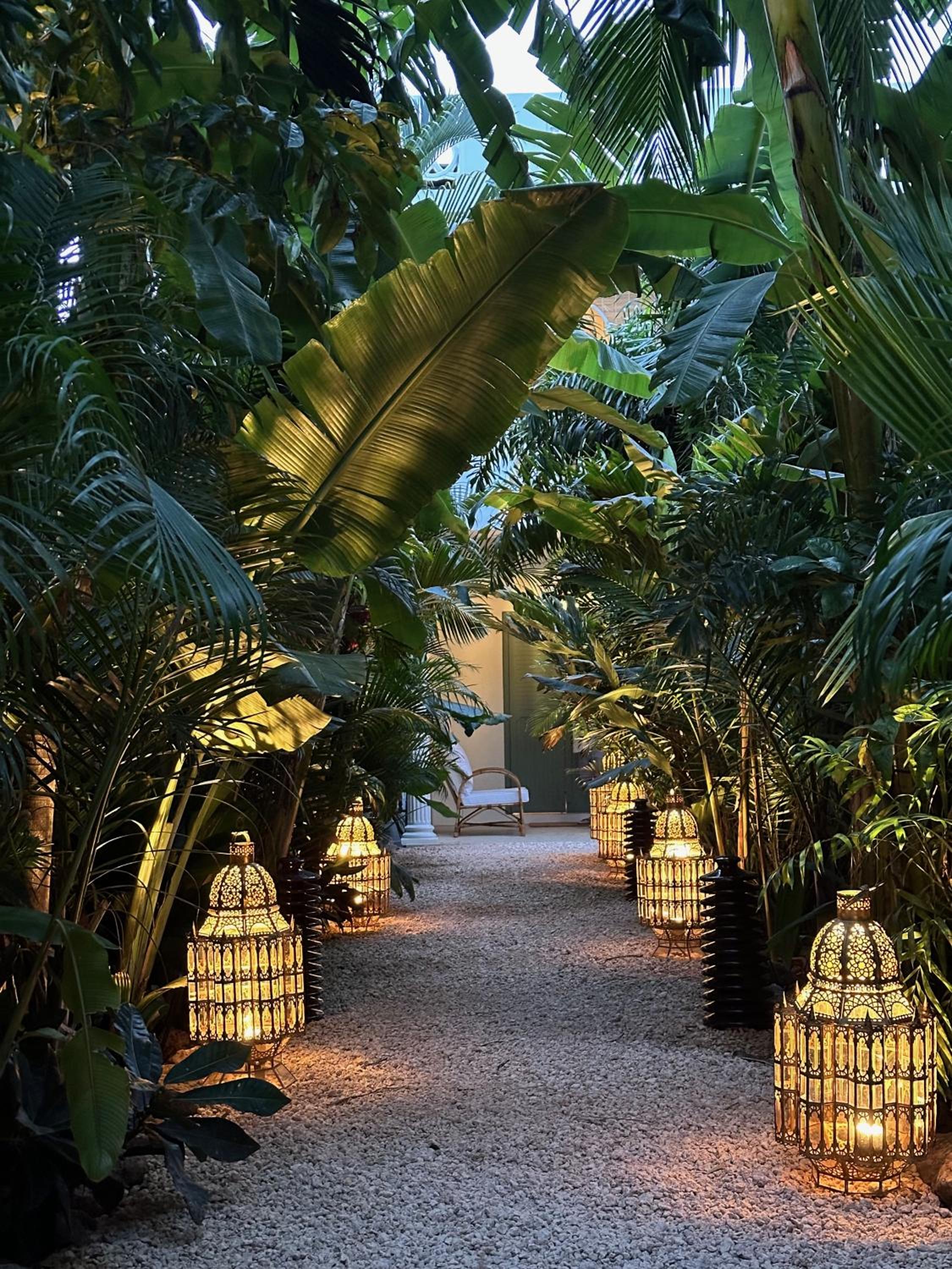 Maison Tropical