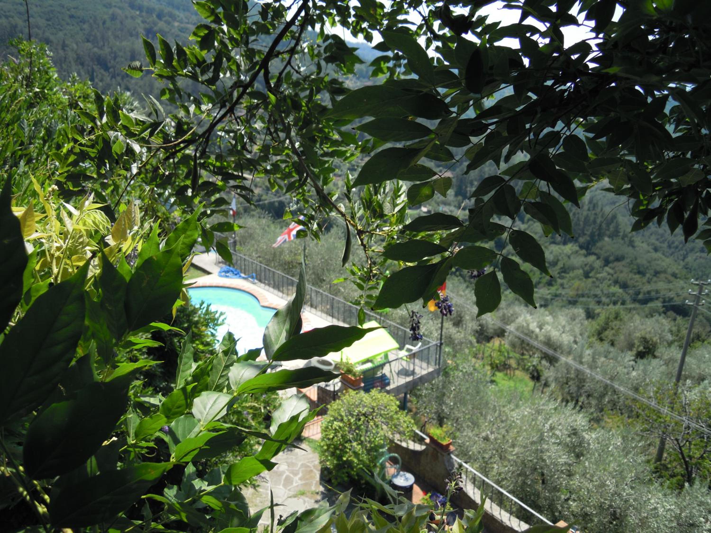 Photo 46