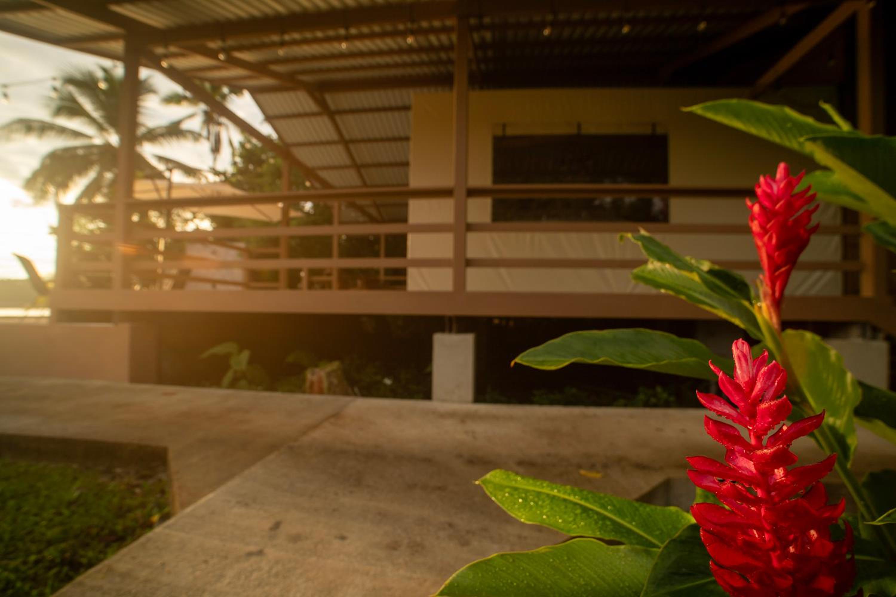 Valverde Glamping & Ecolodge