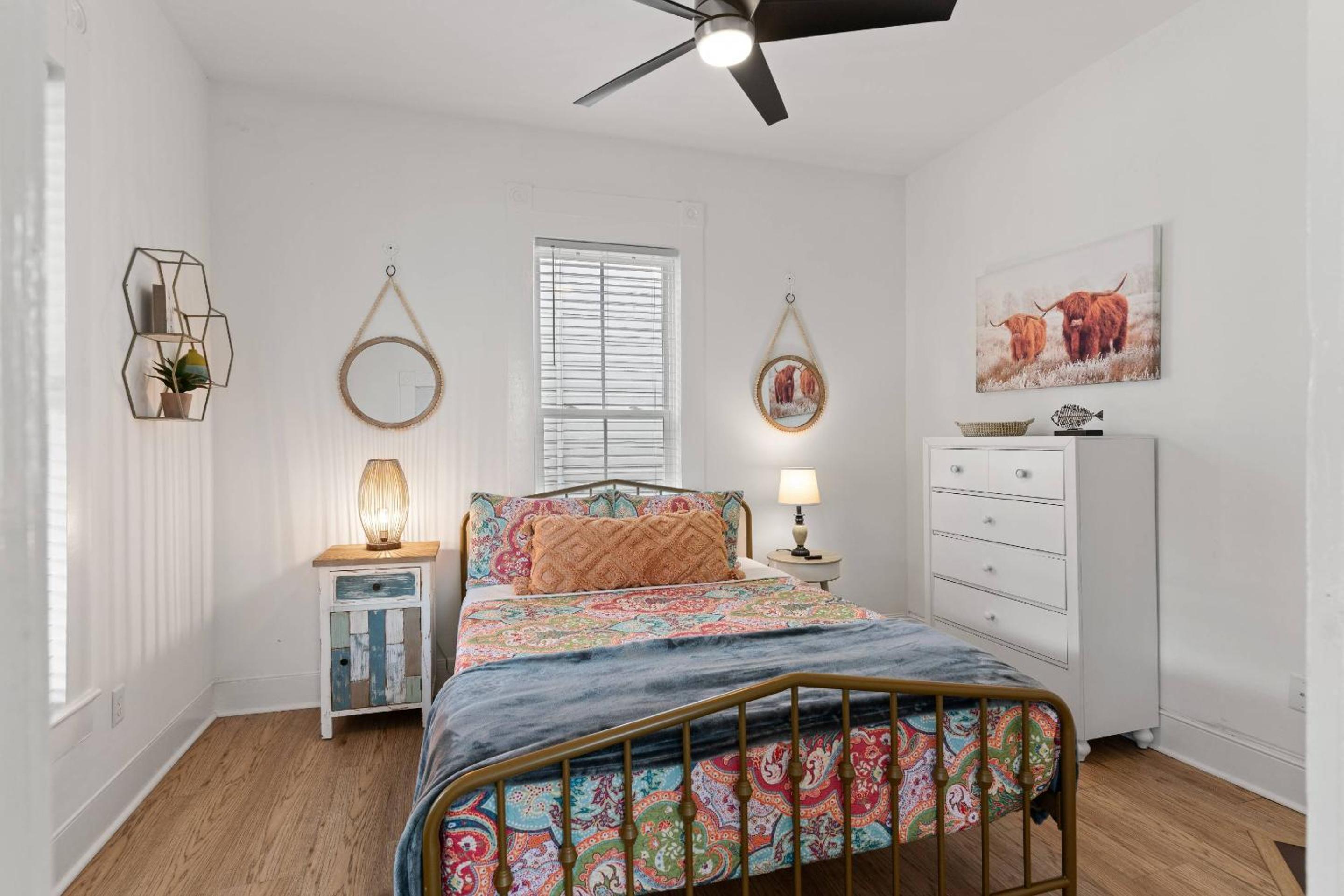 Odie's Oasis on Union view 5