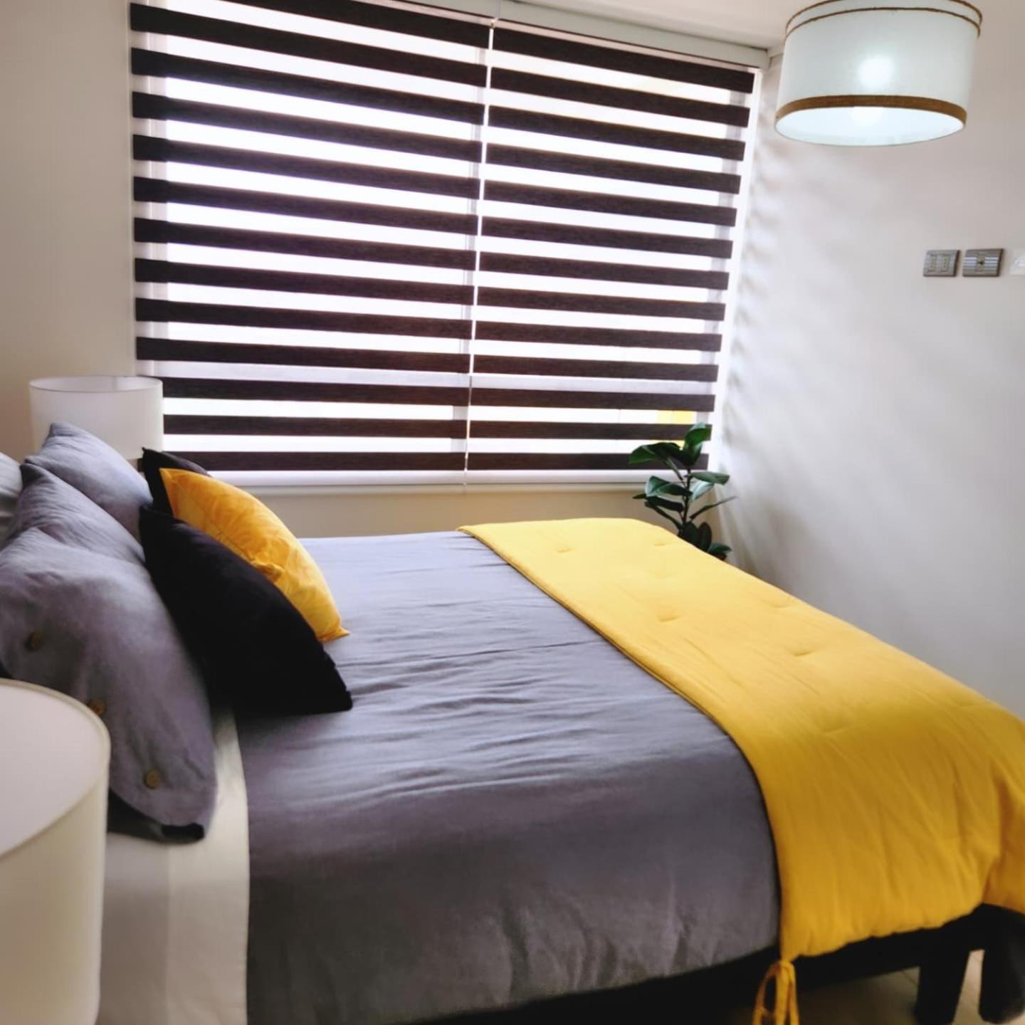 Ayleen Suite