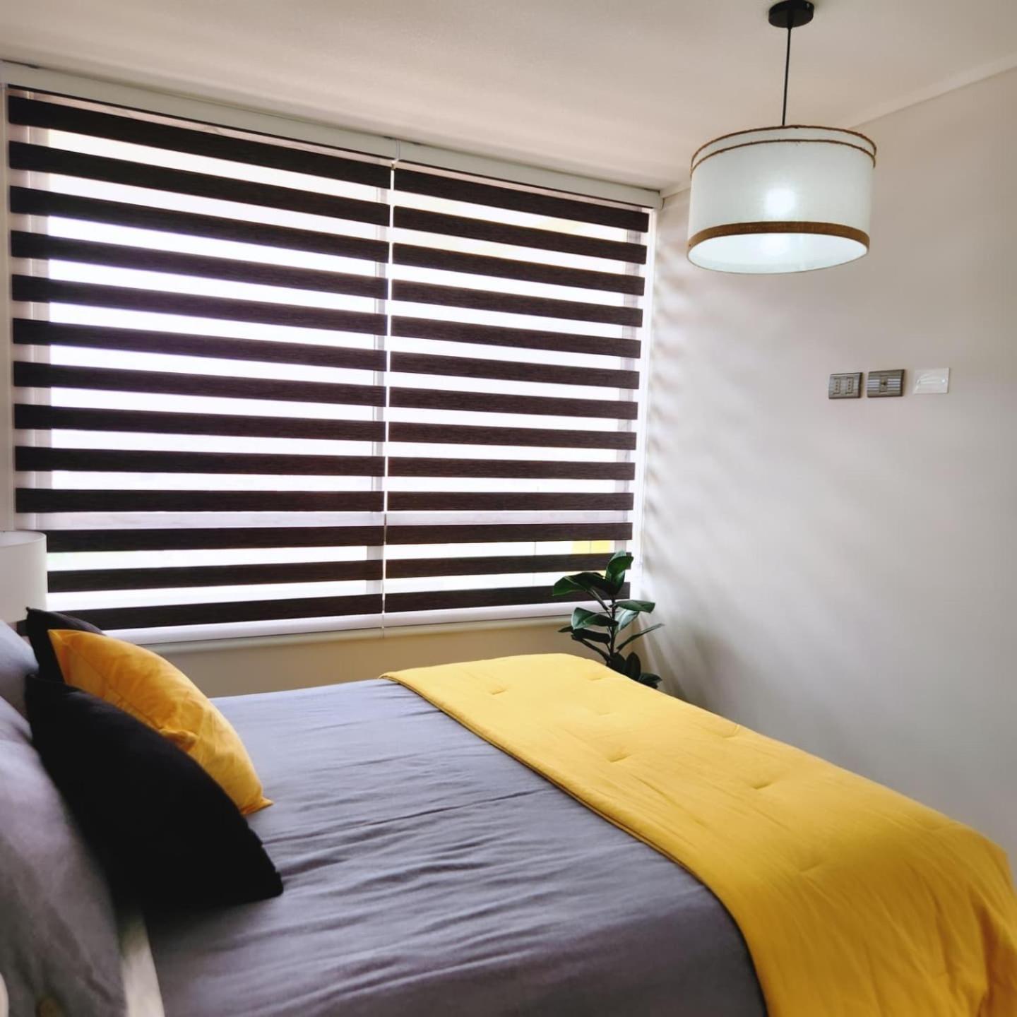 Ayleen Suite