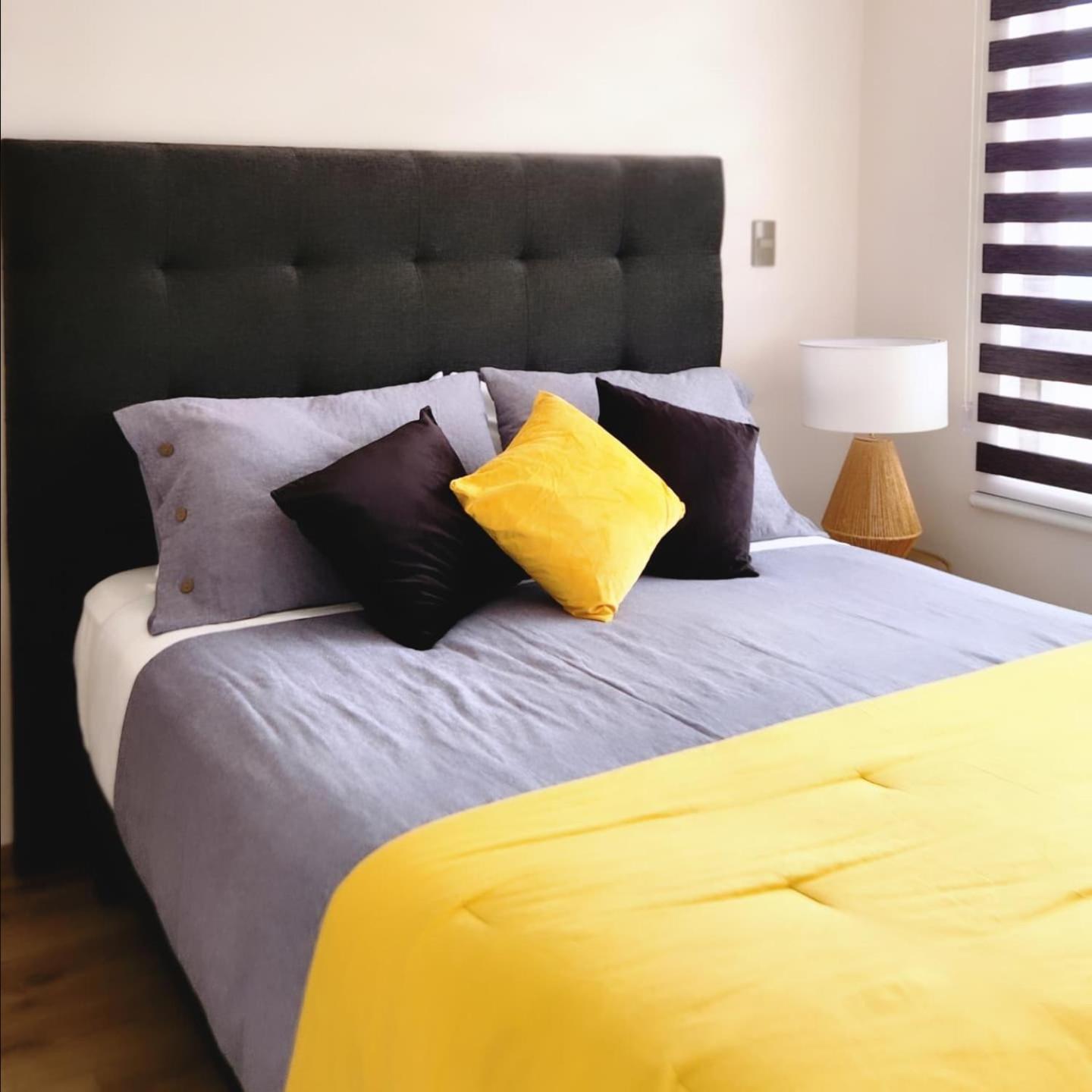 Ayleen Suite