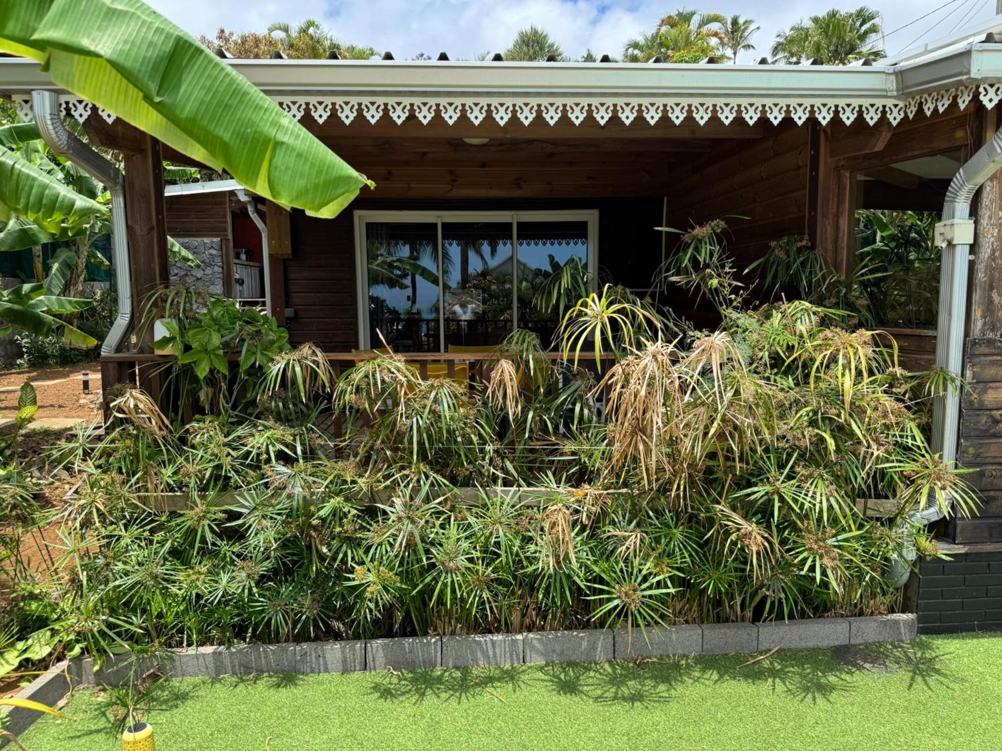 Gîte Allamanda 45m2, 2 à 4 Personnes, piscine et jardin tropical view 2