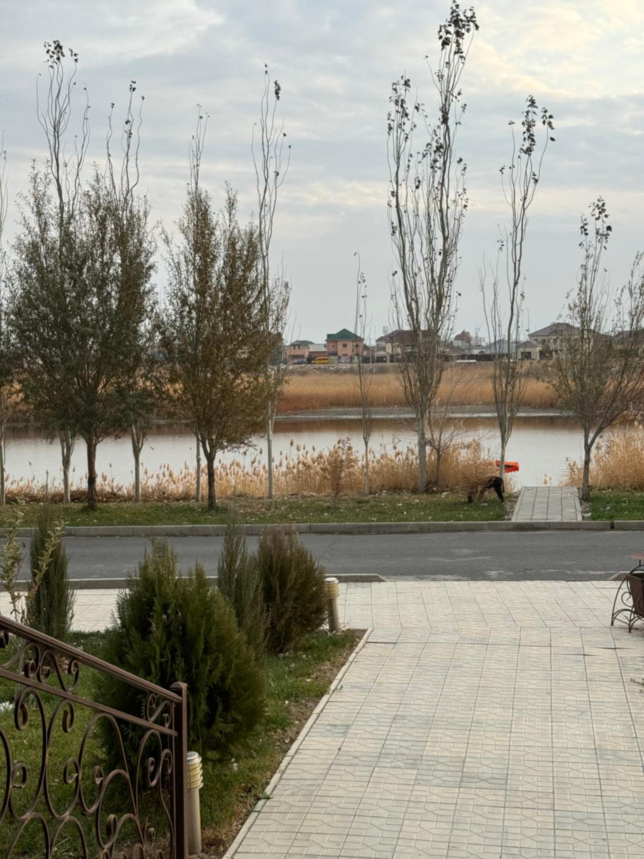 Aray Village view 4