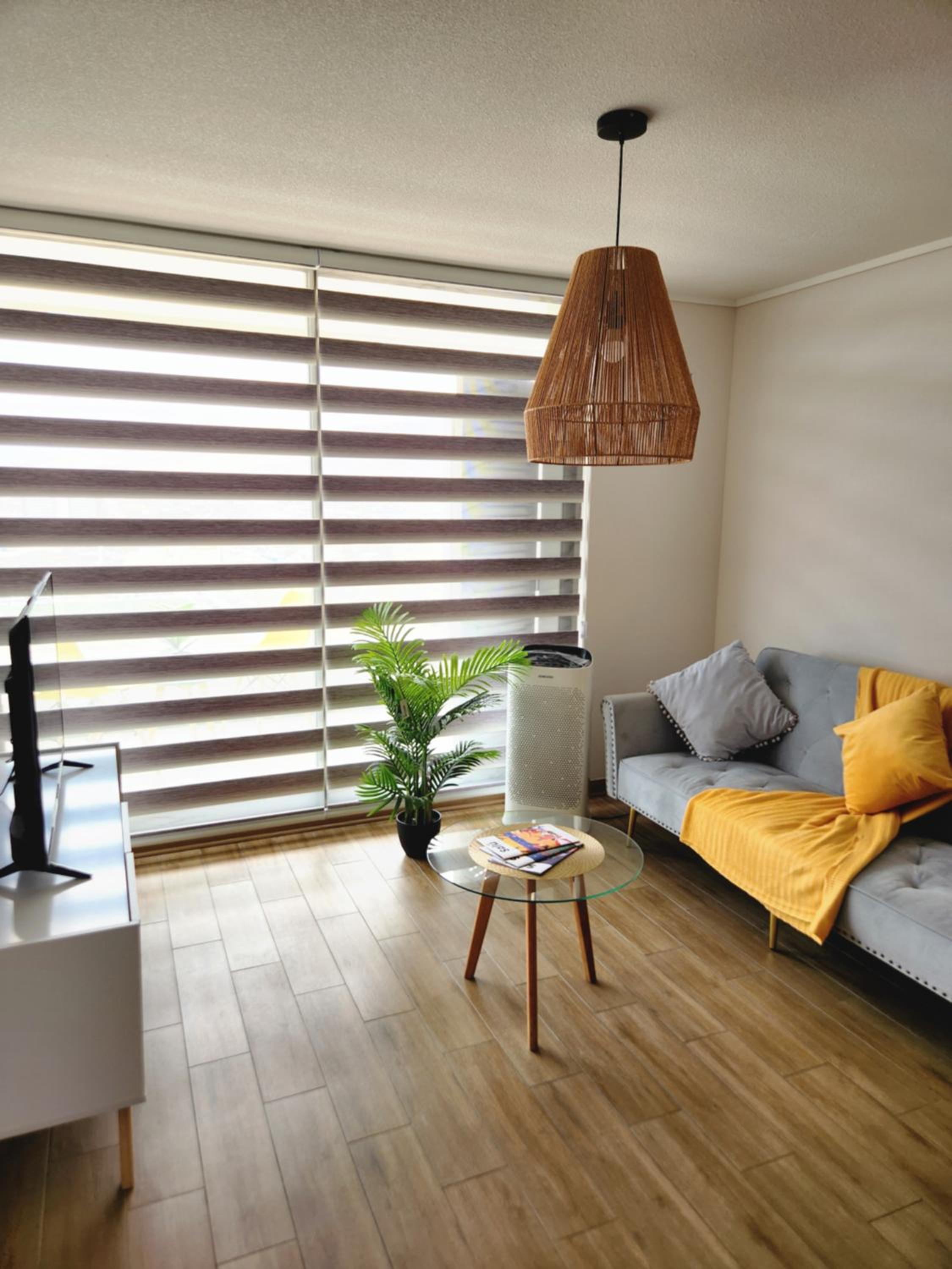Ayleen Suite