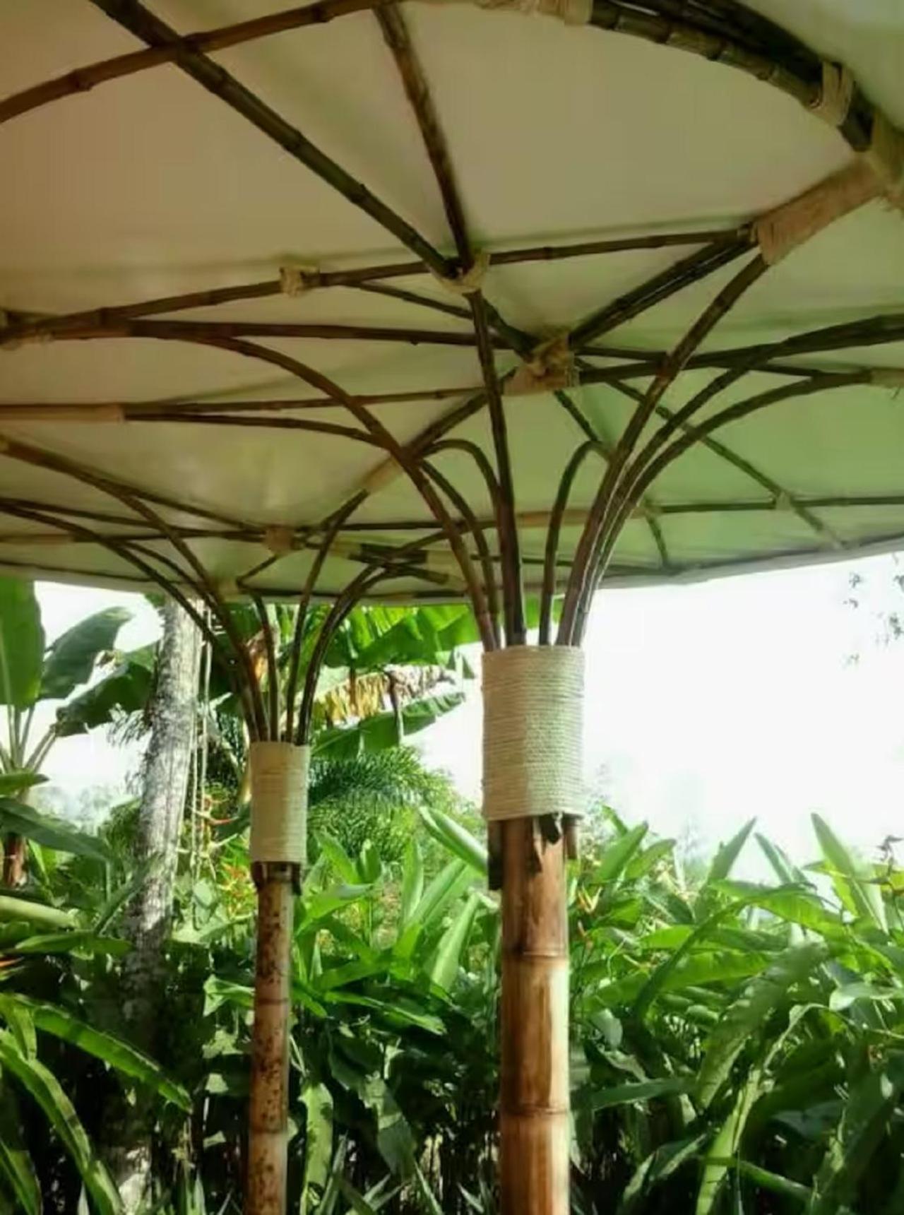 Romantic Cabana with View on Finca La Luisa