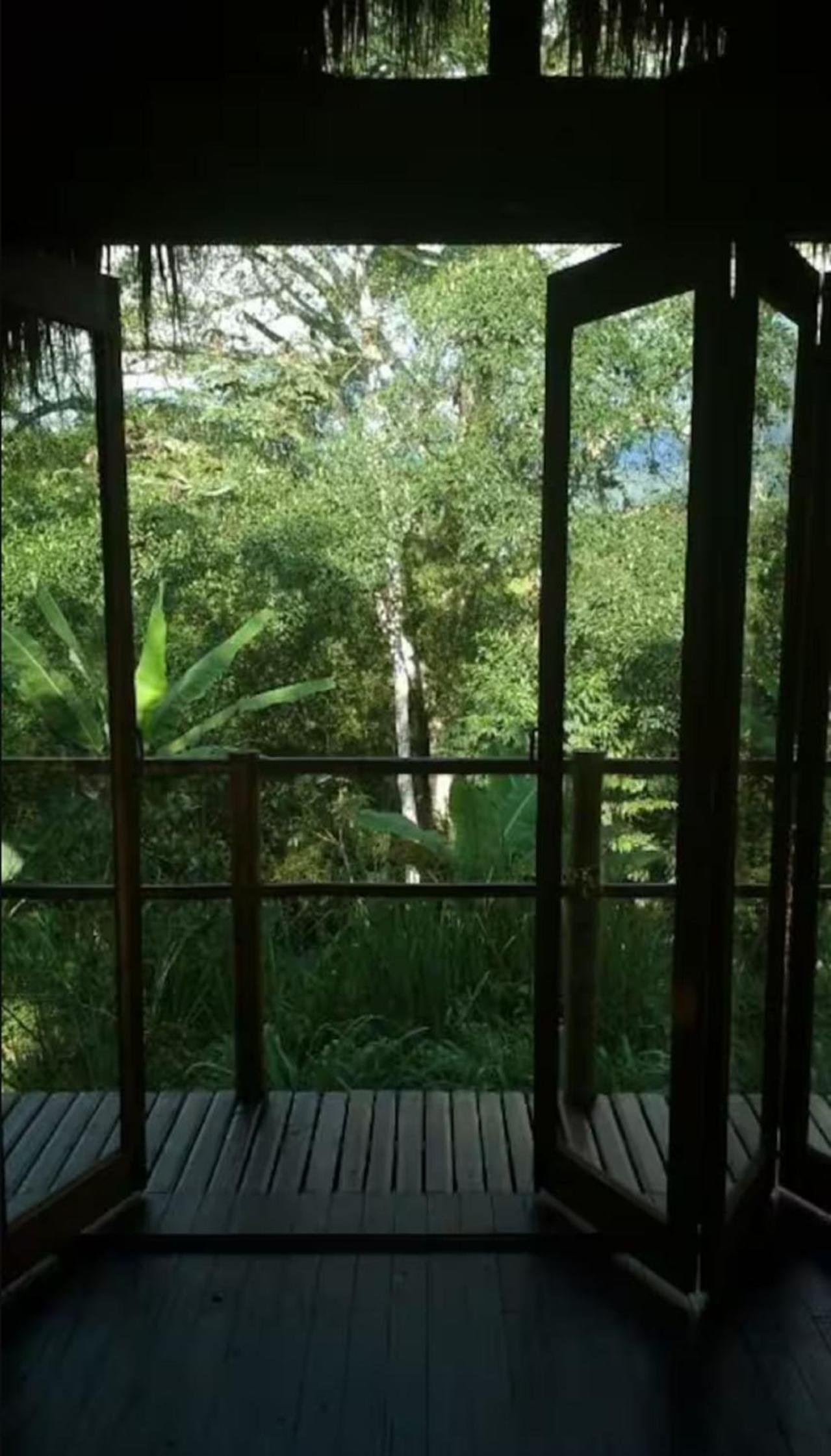Romantic Cabana with View on Finca La Luisa