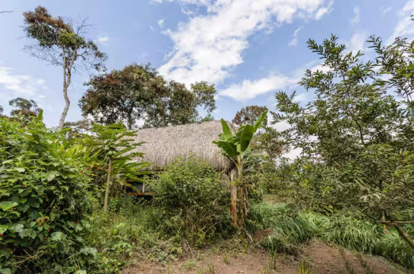 Romantic Cabana with View on Finca La Luisa