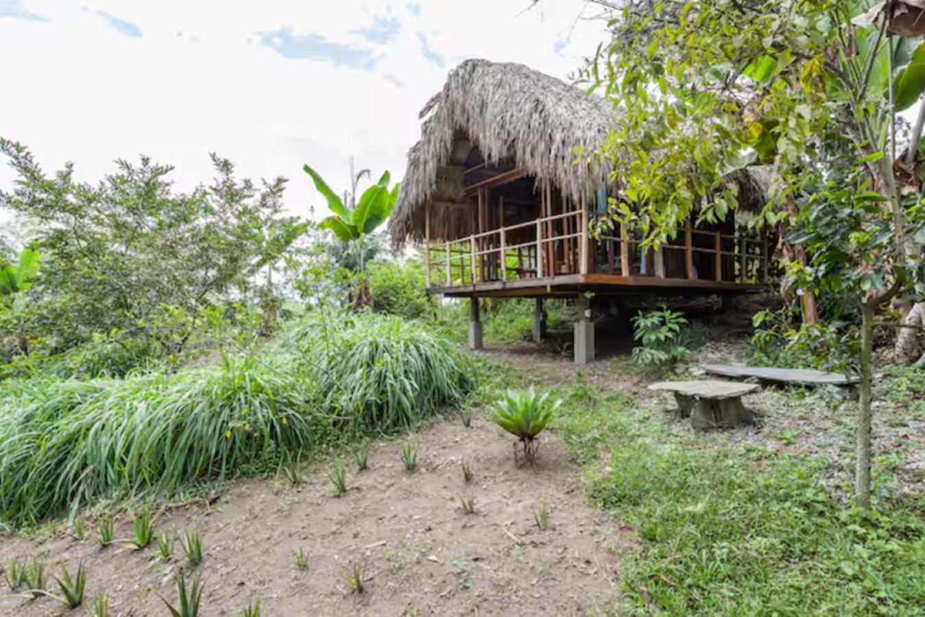 Romantic Cabana with View on Finca La Luisa