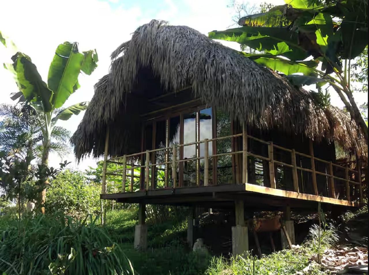 Romantic Cabana with View on Finca La Luisa