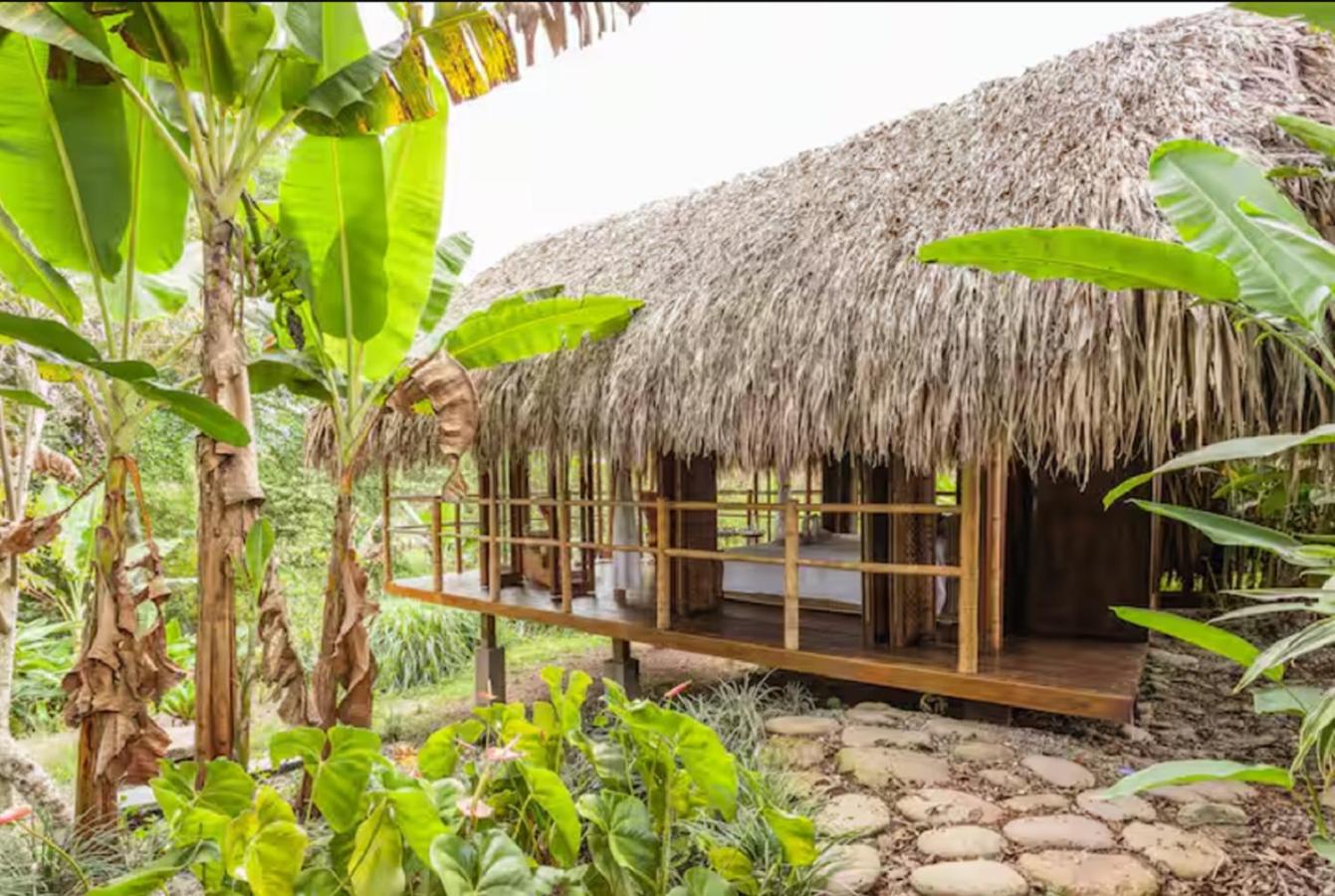 Romantic Cabana with View on Finca La Luisa