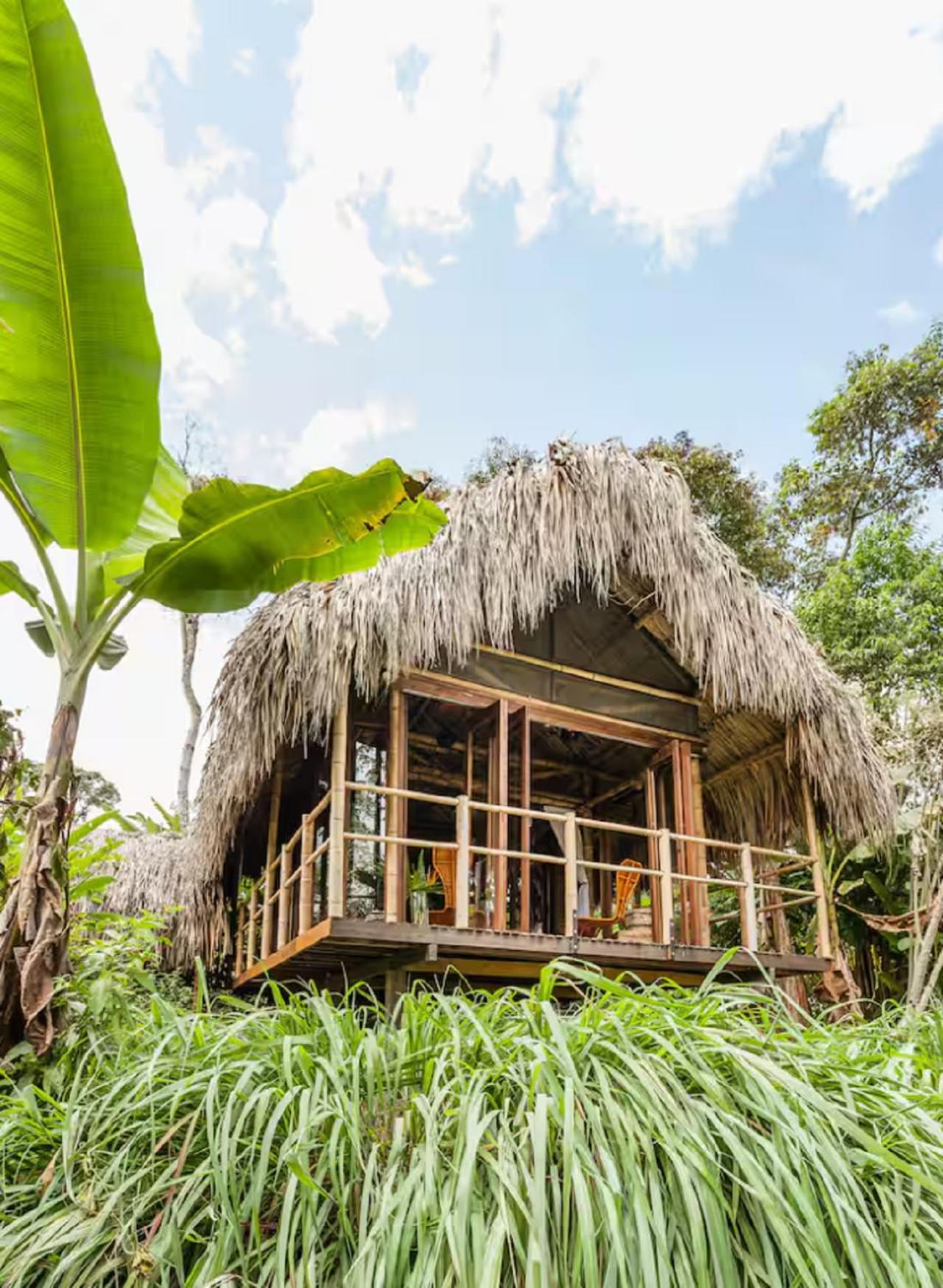 Romantic Cabana with View on Finca La Luisa