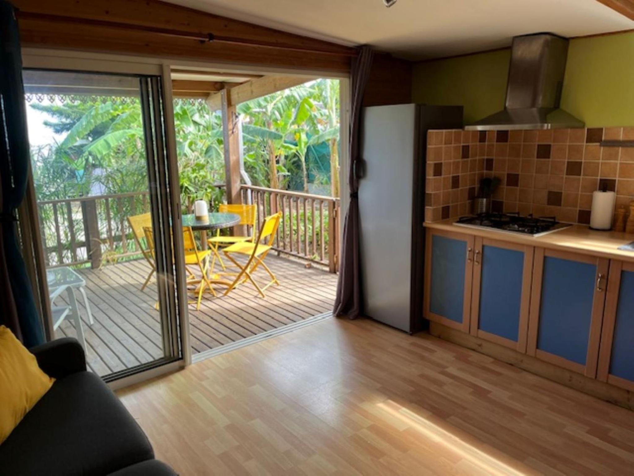 Gîte Allamanda 45m2, 2 à 4 Personnes, piscine et jardin tropical view 4