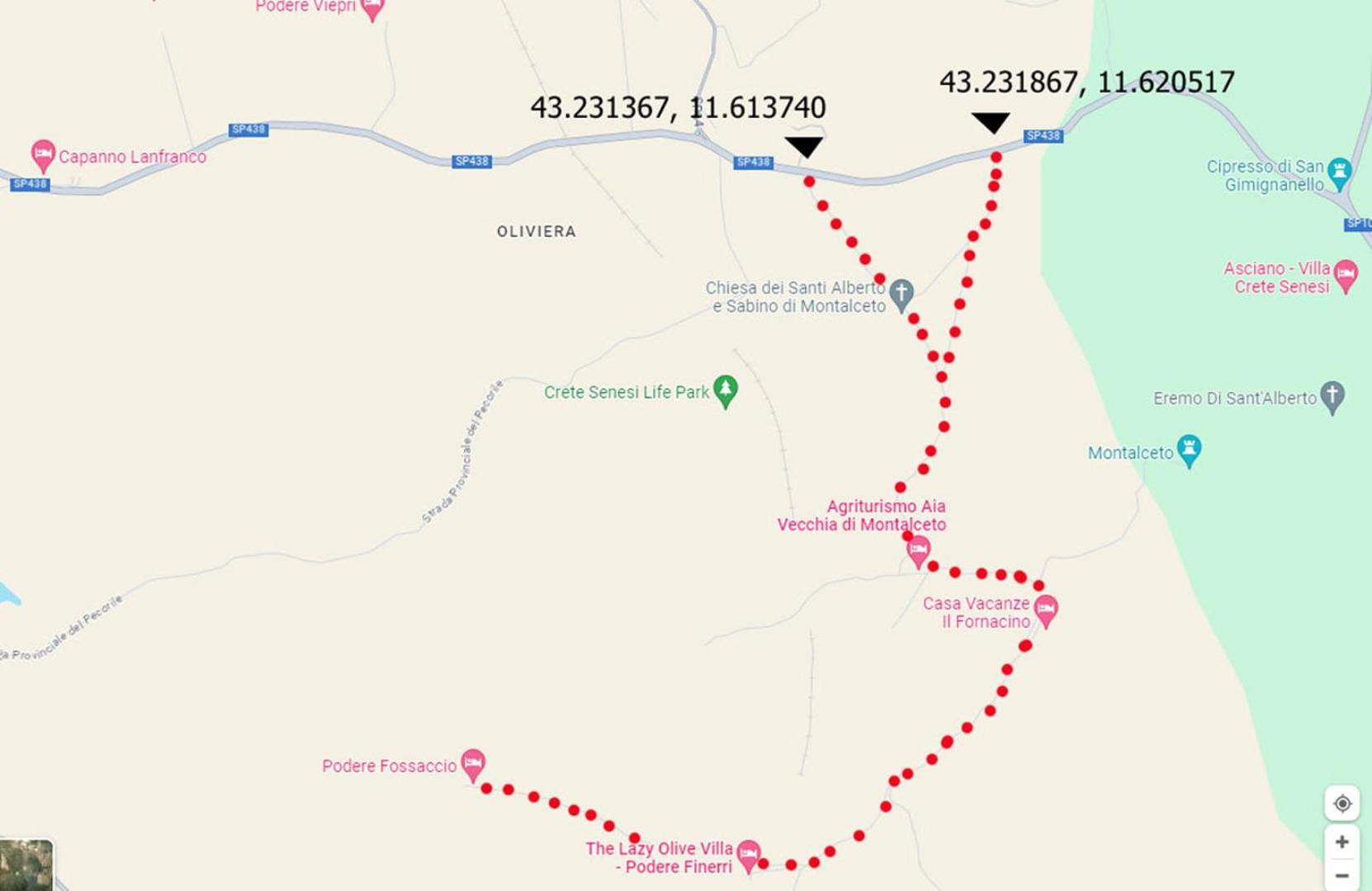 Il Cipresso del Fossaccio