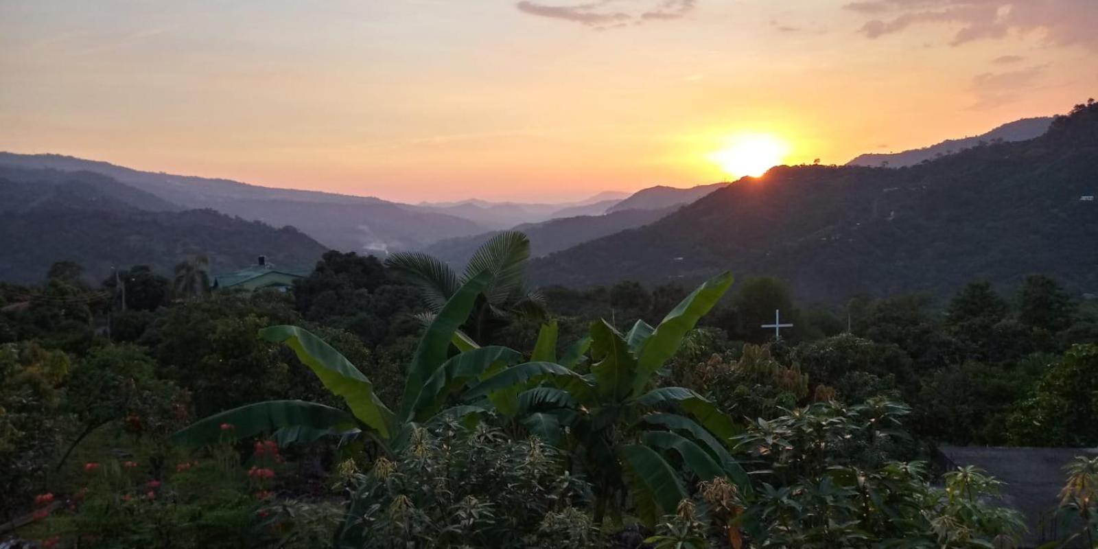 Finca las margaritas