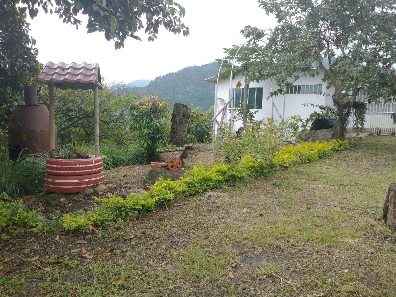 Finca las margaritas