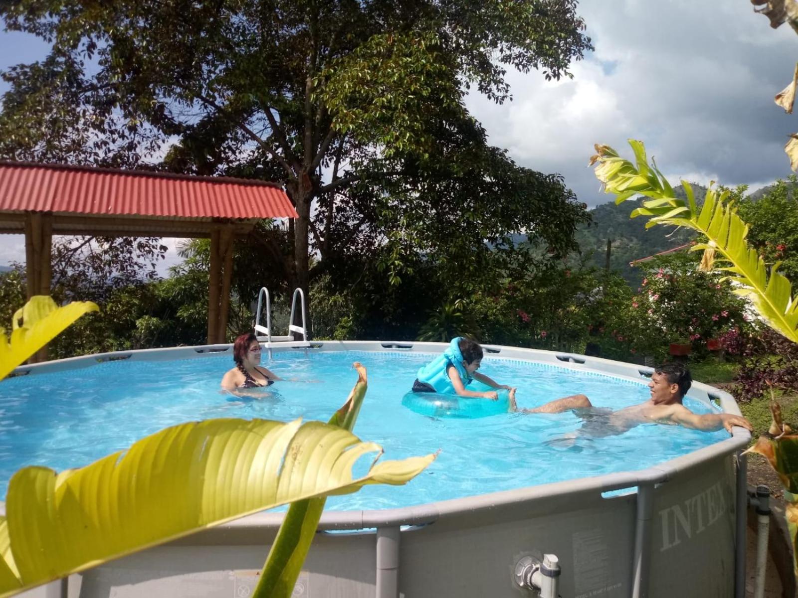 Finca las margaritas