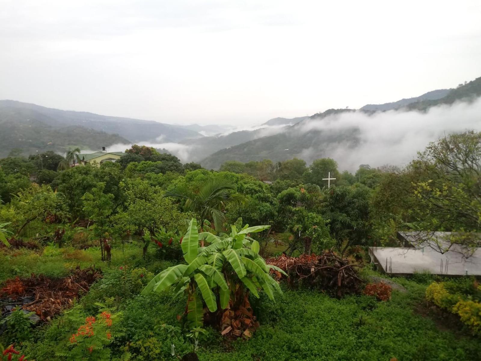 Finca las margaritas