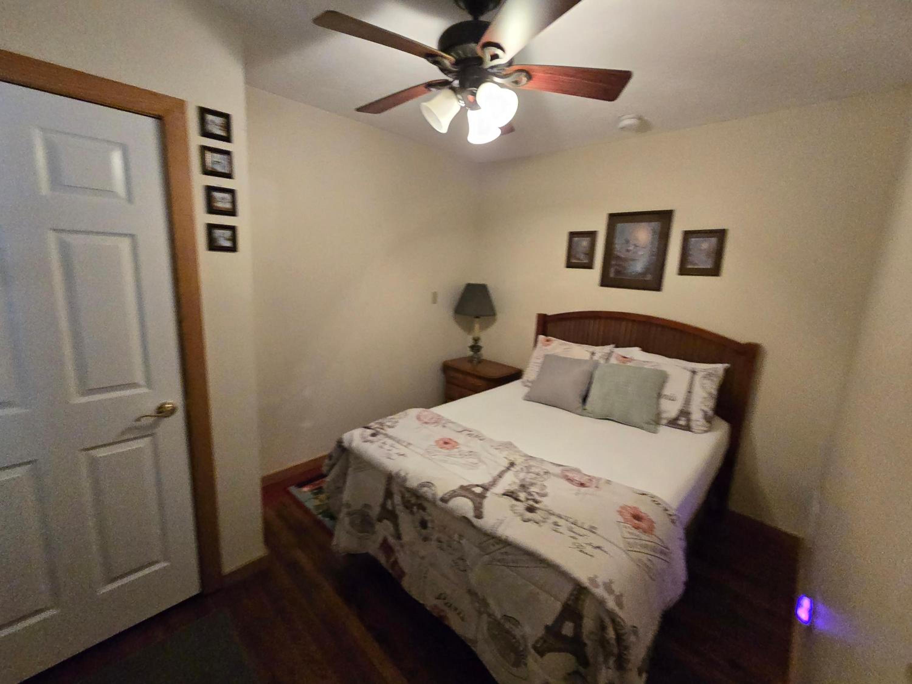 Photo 11