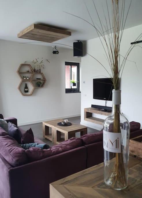 Royaal appartement P&B 't Hoeves view 2