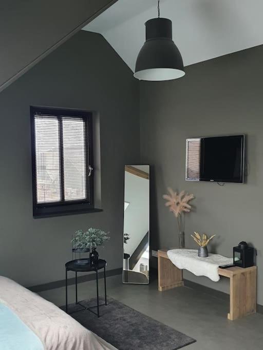 Royaal appartement P&B 't Hoeves view 4