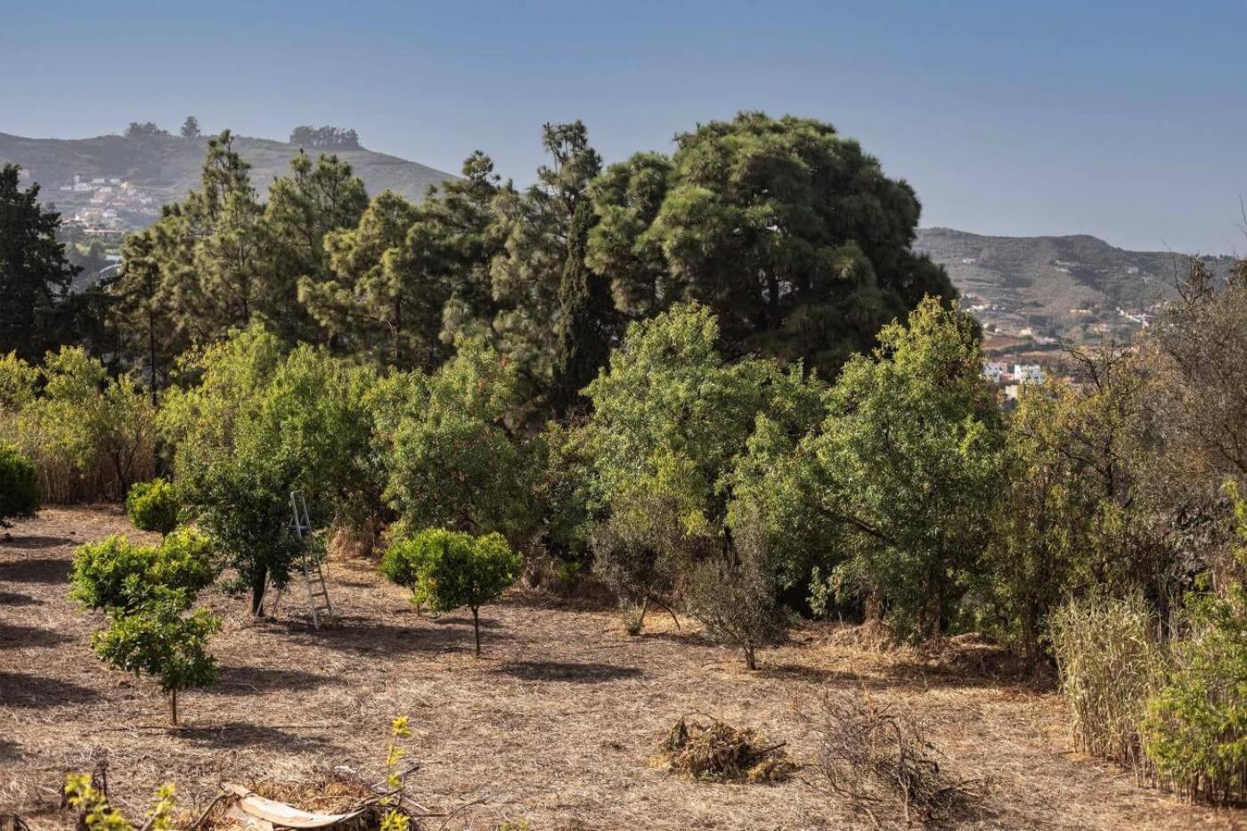 Casa Rural en Santa Brigida con un encanto especial