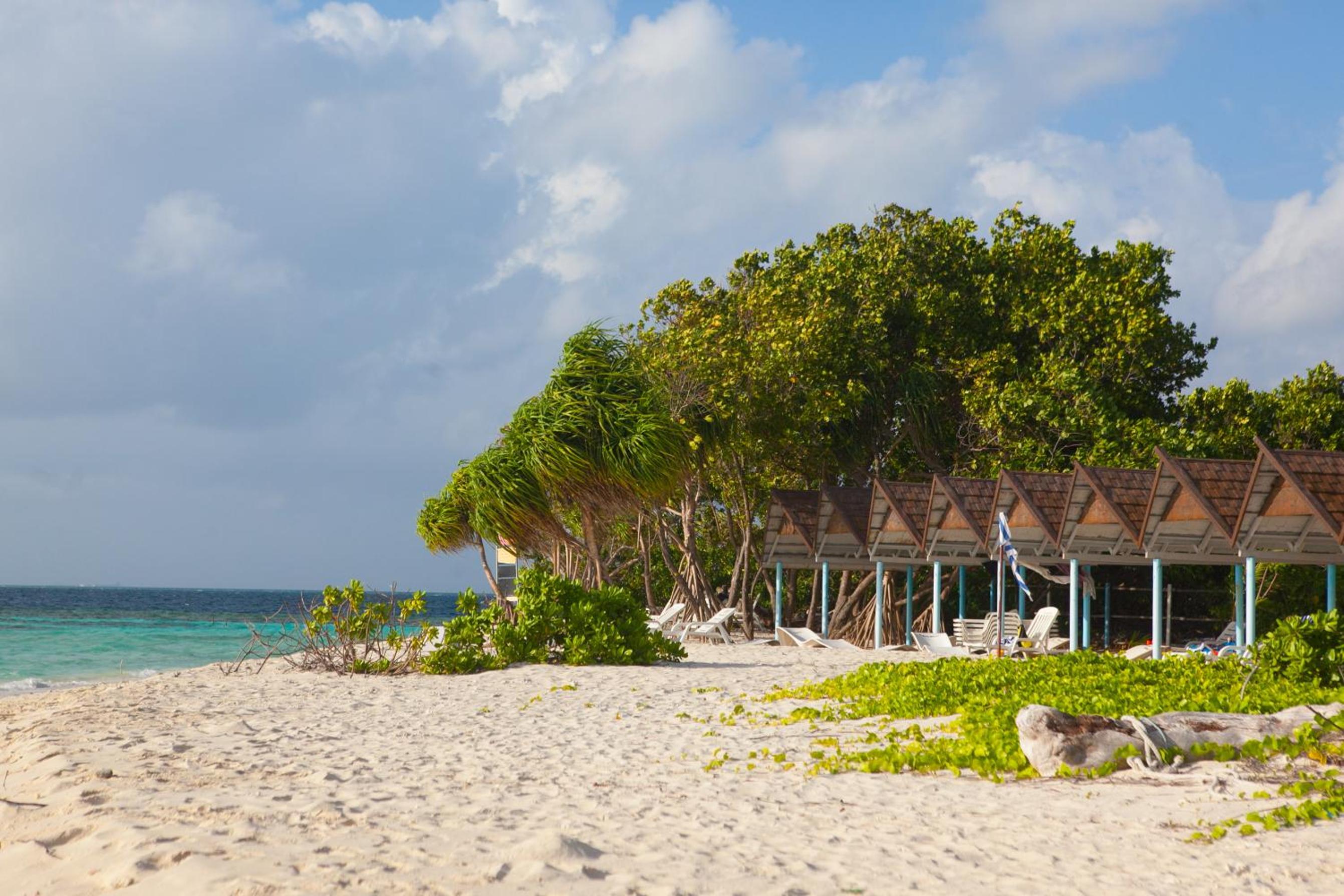 Island Pavilion