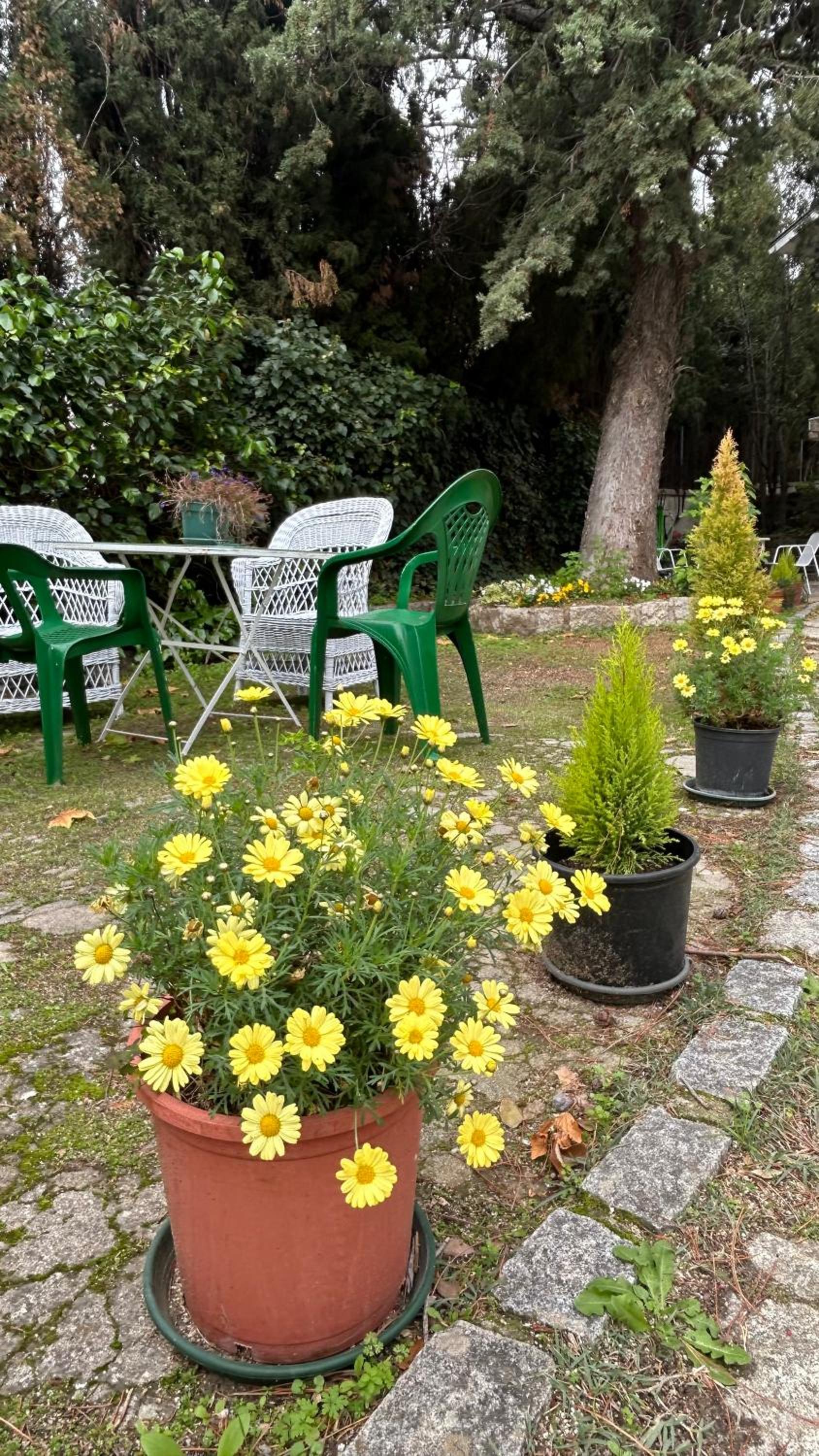 Photo 25