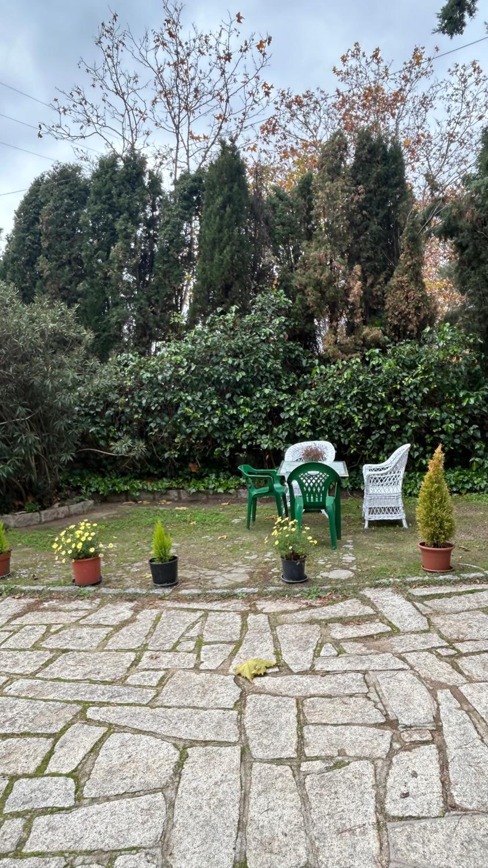 Photo 26