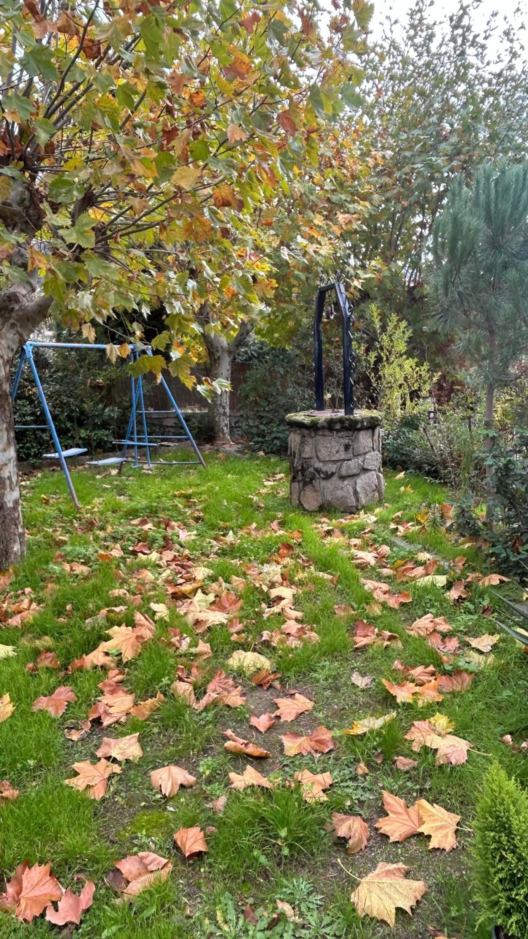 Photo 31