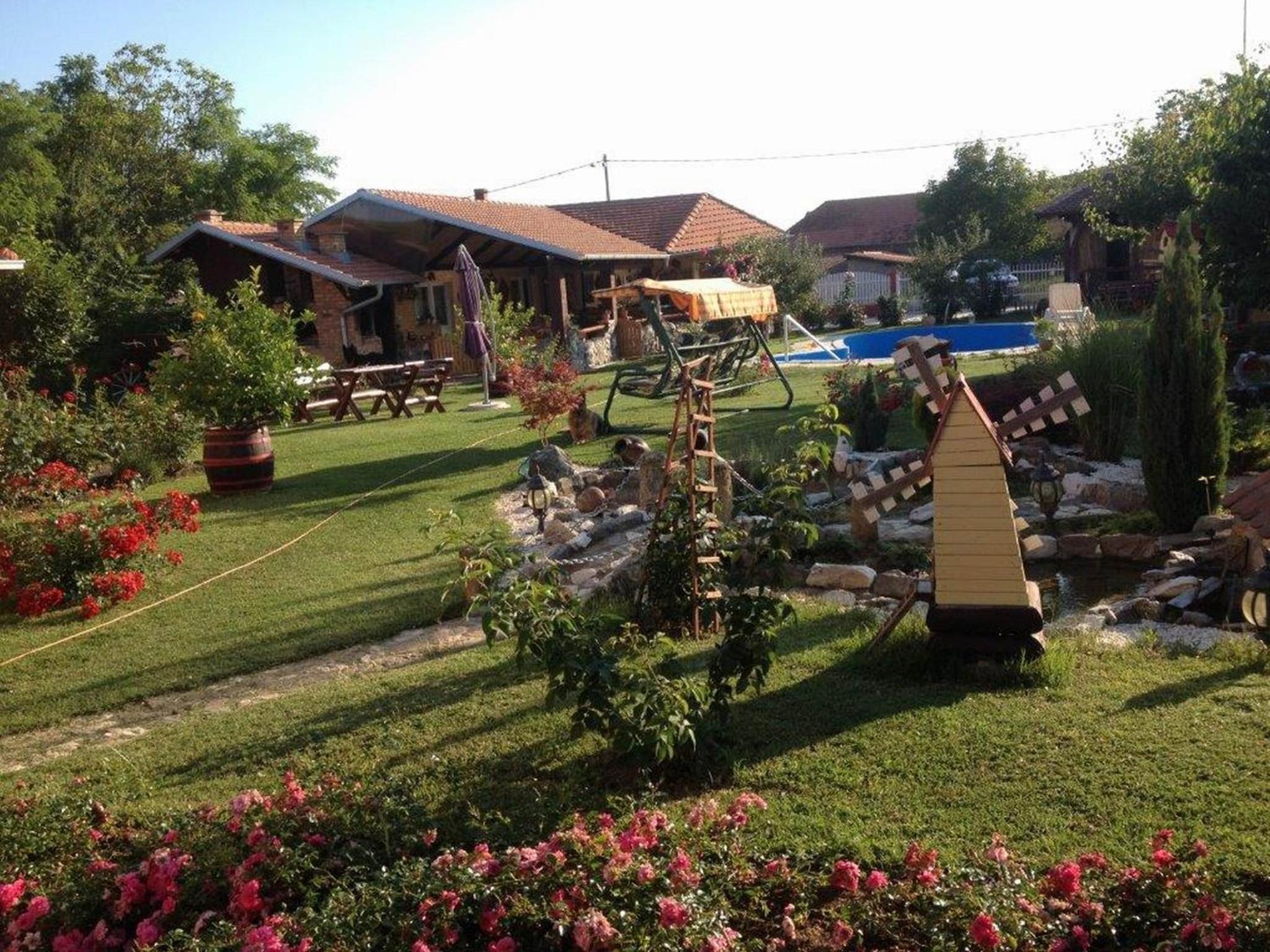 Photo 8
