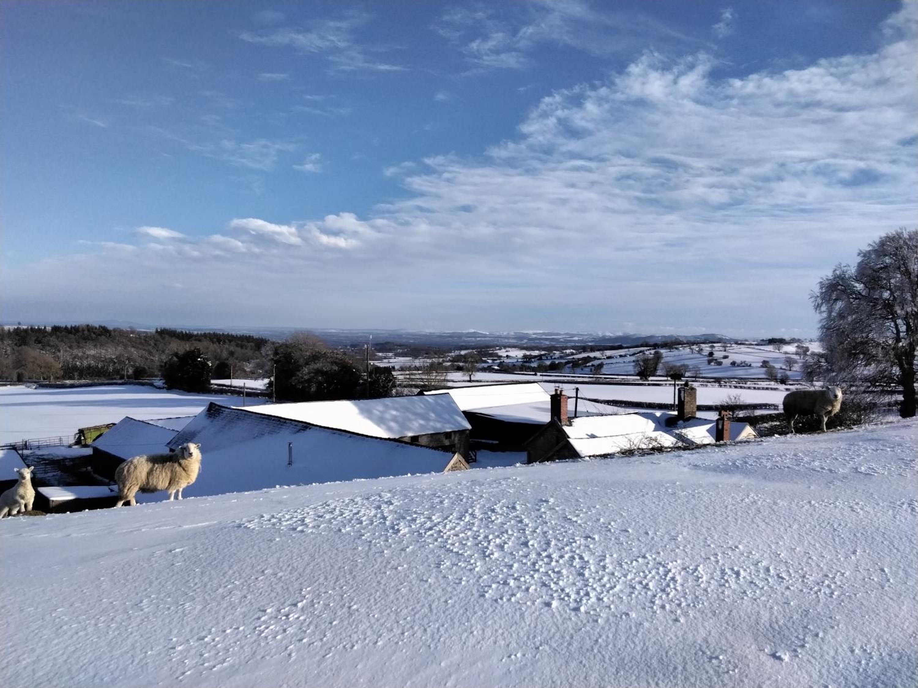 Cynynion Uchaf Farmhouse - 18th Century, Welsh Borders, Breathtaking Views