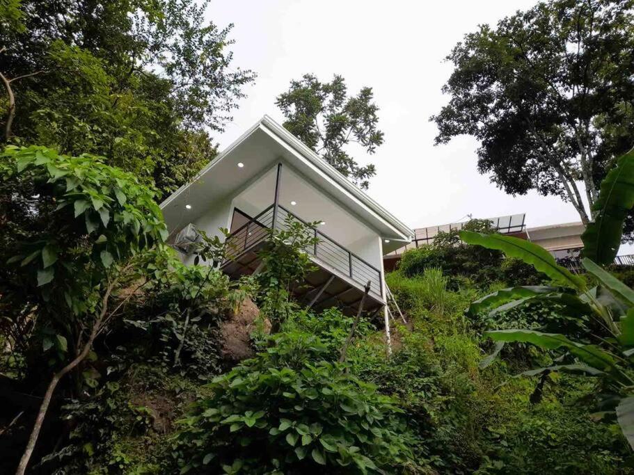 Casita de Campo en medio del bosque