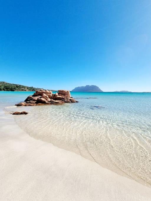 splendido open space in Villa Veronica Porto Istana