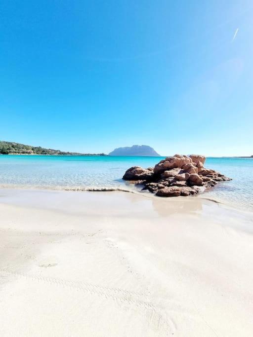 splendido open space in Villa Veronica Porto Istana