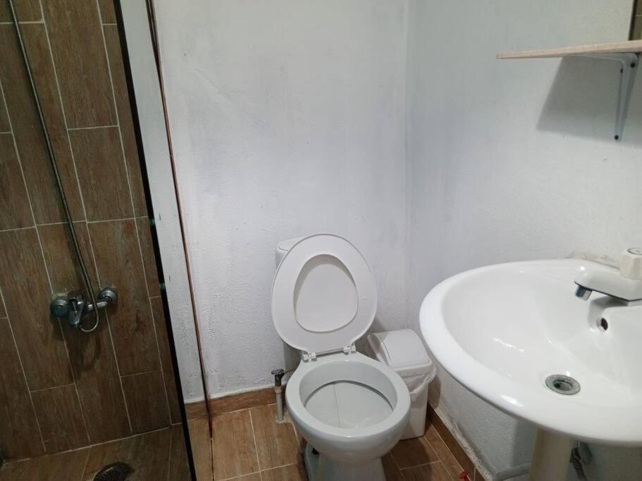Acogedor apartamento entero