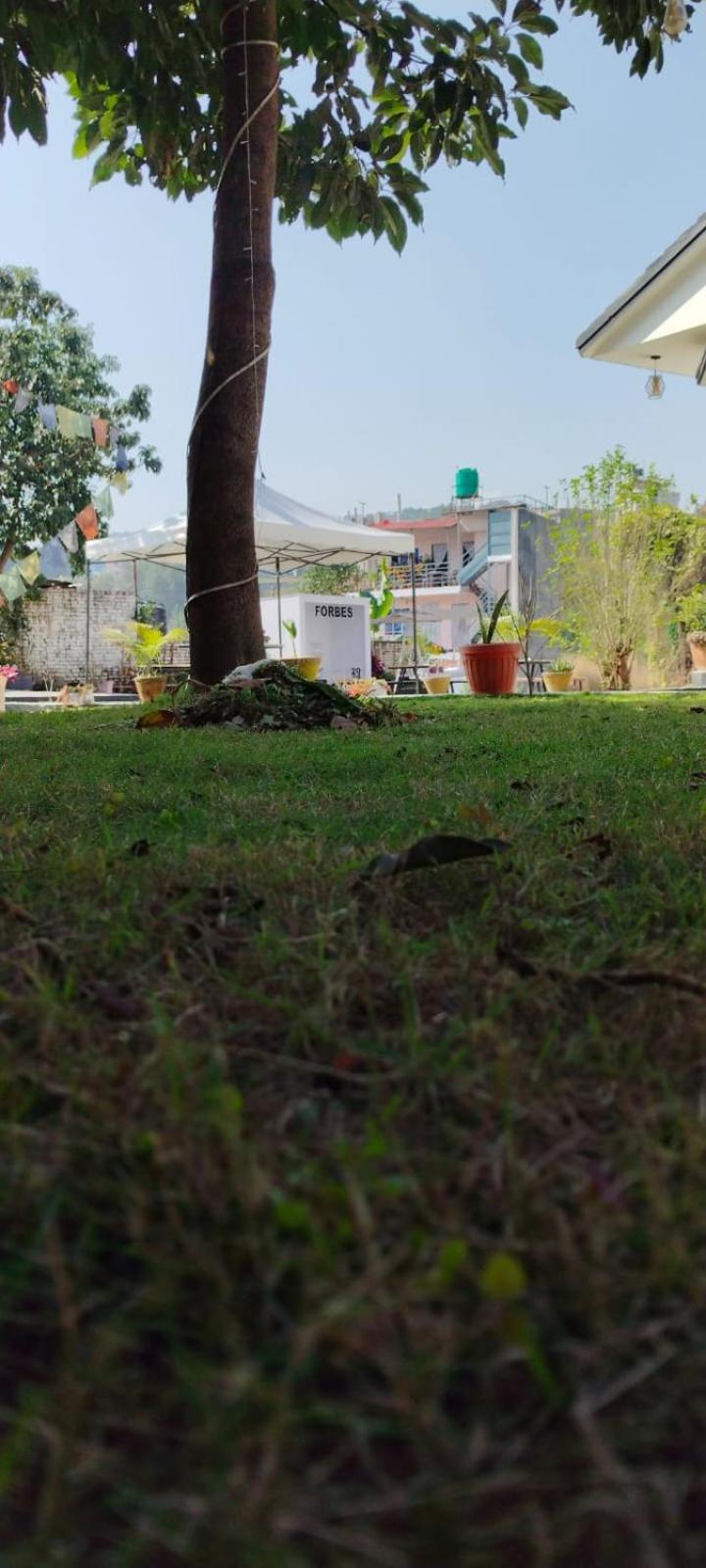 Chessboardvilla
