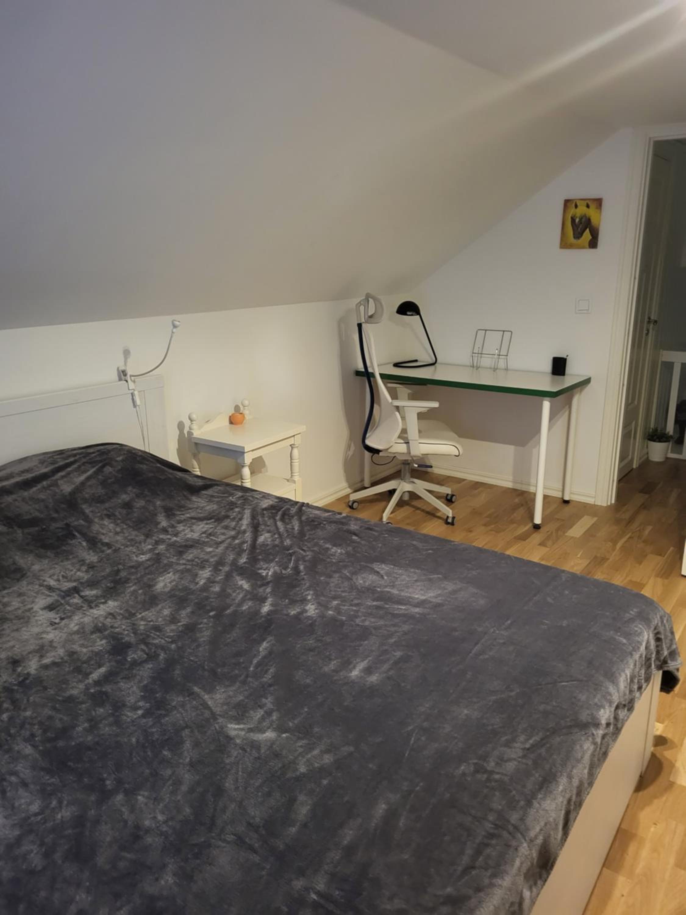 Photo 55