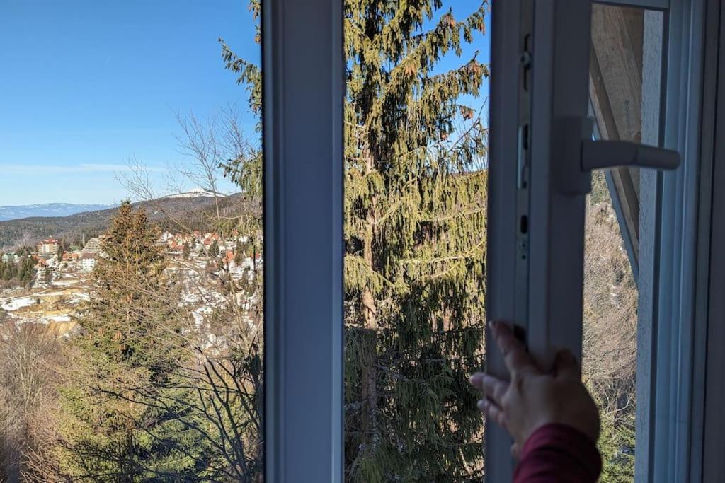 Kopaonička priča