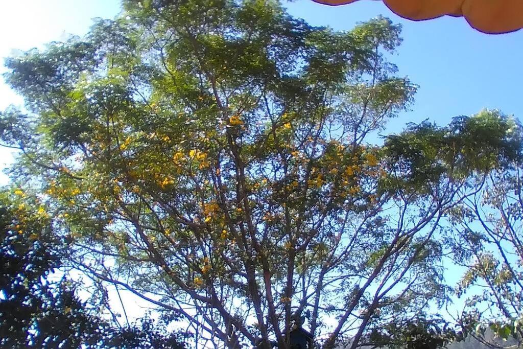 Rancho Vô João - Espaço para Momentos Incríveis
