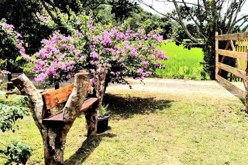 Rancho Vô João - Espaço para Momentos Incríveis