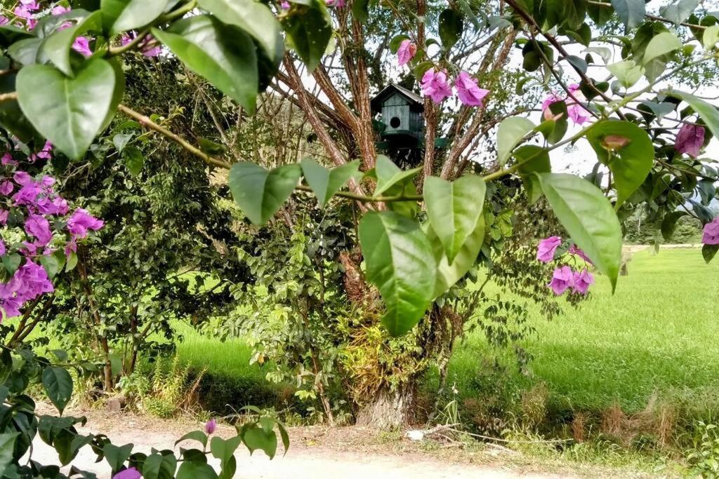 Rancho Vô João - Espaço para Momentos Incríveis